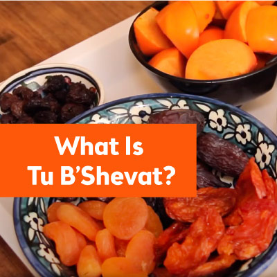 What Is Tu B’Shevat?